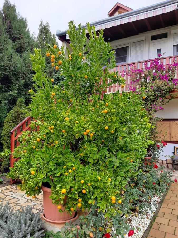 Rozsakert Vendeghaz Bed and Breakfast Szigliget Exteriör bild