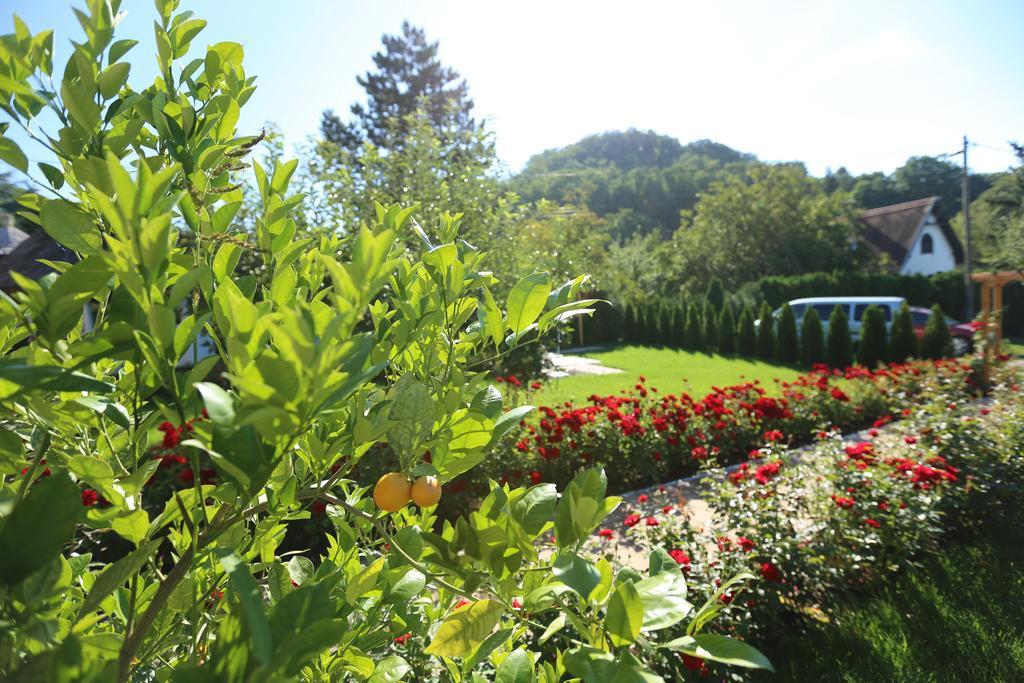 Rozsakert Vendeghaz Bed and Breakfast Szigliget Exteriör bild
