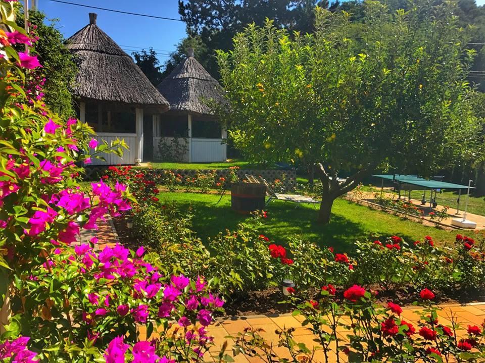 Rozsakert Vendeghaz Bed and Breakfast Szigliget Exteriör bild